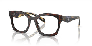 Prada PR A05V women Havana Butterfly Eyeglasses