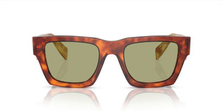 Prada PR A06S men Brown Pantos Sunglasses