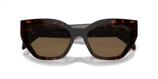 Prada PR A09S women Brown Butterfly Sunglasses