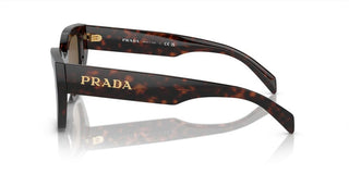 Prada PR A09S women Brown Butterfly Sunglasses