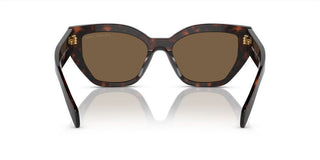 Prada PR A09S women Brown Butterfly Sunglasses