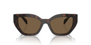 Prada PR A09S women Brown Butterfly Sunglasses