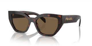 Prada PR A09S women Brown Butterfly Sunglasses