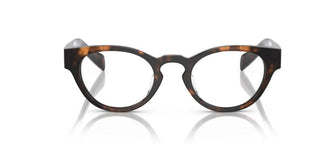 Prada PR A11VD women Havana Round Eyeglasses