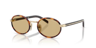 Prada PR B56S women Havana Round Sunglasses