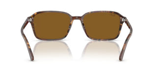 Ray-Ban RAIMOND RB 2231 unisex Brown Squared Sunglasses