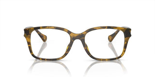 Ralph RA 7155U women Havana Squared Eyeglasses