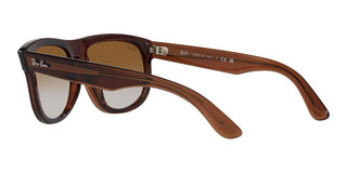 Ray-Ban RBR0501S unisex Brown Geometric Sunglasses