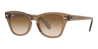 Ray-Ban RB 0707S unisex Brown Squared Sunglasses