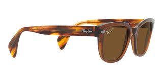 Ray-Ban RB 0880S unisex Brown Squared Sunglasses