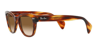 Ray-Ban RB 0880S unisex Havana Squared Sunglasses