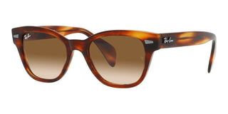 Ray-Ban RB 0880S unisex Havana Squared Sunglasses