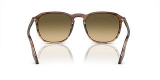 Ray-Ban RB 2203 unisex Brown Squared Sunglasses