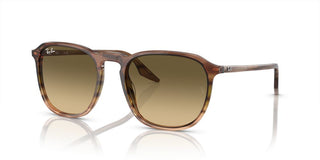 Ray-Ban RB 2203 unisex Brown Squared Sunglasses