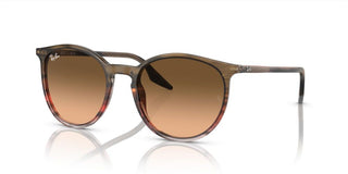 Ray-Ban RB 2204 unisex Havana Squared Sunglasses