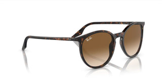 Ray-Ban RB 2204 unisex Brown Squared Sunglasses