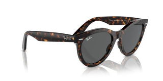 Ray-Ban RB 2241 unisex Havana Squared Sunglasses