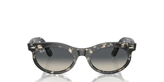 Ray-Ban RB 2242 unisex Havana Squared Sunglasses