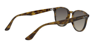 Ray-Ban RB 4259 unisex Havana Round Sunglasses