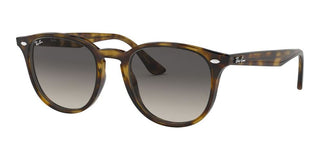 Ray-Ban RB 4259 unisex Havana Round Sunglasses