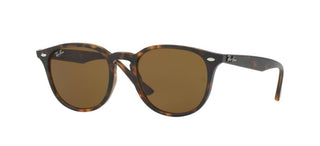 Ray-Ban RB 4259 unisex Havana Round Sunglasses