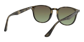 Ray-Ban RB 4259 unisex Grey Round Sunglasses