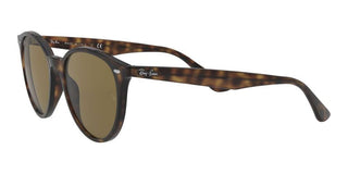 Ray-Ban RB 4305 unisex Havana Round Sunglasses