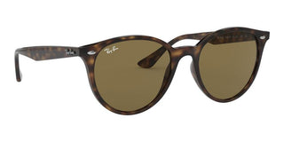 Ray-Ban RB 4305 unisex Havana Round Sunglasses