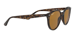 Ray-Ban RB 4305 unisex Havana Round Sunglasses