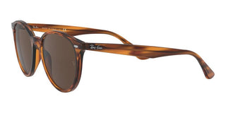 Ray-Ban RB 4305 unisex Havana Round Sunglasses