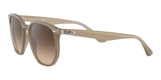 Ray-Ban RB 4306 unisex Brown Geometric Sunglasses