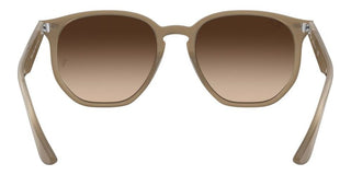 Ray-Ban RB 4306 unisex Brown Geometric Sunglasses