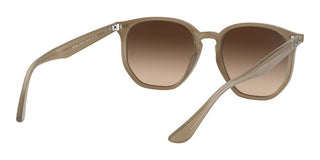 Ray-Ban RB 4306 unisex Brown Geometric Sunglasses