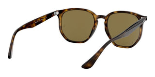 Ray-Ban RB 4306 unisex Havana Geometric Sunglasses