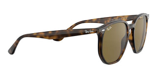 Ray-Ban RB 4306 unisex Havana Geometric Sunglasses