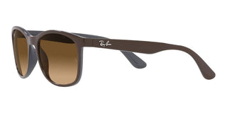 Ray-Ban RB 4374 unisex Brown Squared Sunglasses