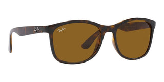 Ray-Ban RB 4374 unisex Havana Squared Sunglasses