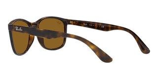 Ray-Ban RB 4374 unisex Havana Squared Sunglasses