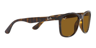 Ray-Ban RB 4374 unisex Havana Squared Sunglasses