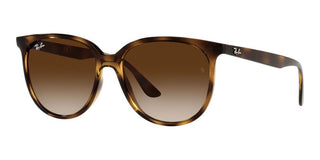 Ray-Ban RB 4378 women Havana Squared Sunglasses