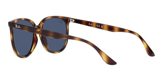 Ray-Ban RB 4378 women Havana Squared Sunglasses