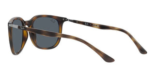 Ray-Ban RB 4386 unisex Havana Squared Sunglasses