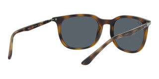 Ray-Ban RB 4386 unisex Havana Squared Sunglasses