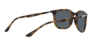 Ray-Ban RB 4386 unisex Havana Squared Sunglasses