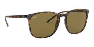 Ray-Ban RB 4387 men Havana Geometric Sunglasses