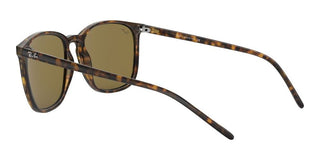 Ray-Ban RB 4387 men Havana Geometric Sunglasses