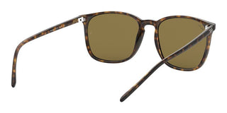 Ray-Ban RB 4387 men Havana Geometric Sunglasses