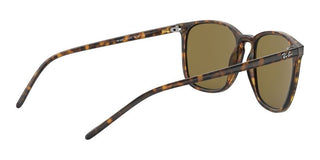 Ray-Ban RB 4387 men Havana Geometric Sunglasses