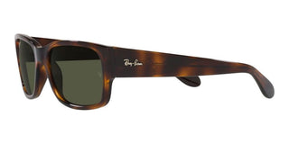 Ray-Ban RB 4388 unisex Havana Squared Sunglasses