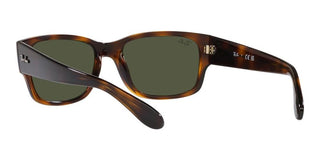 Ray-Ban RB 4388 unisex Havana Squared Sunglasses